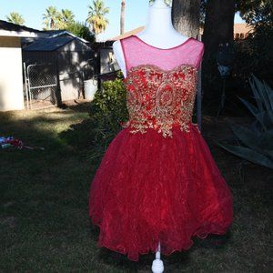 Cranberry Prom, Party  Dress A Line Tulle Dydsz